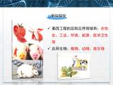 人教版 (新課標(biāo))高中生物選修3 1-1.3《基因工程的應(yīng)用》課件