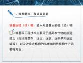 人教版 (新課標(biāo))高中生物選修3 1-1.3《基因工程的應(yīng)用》課件