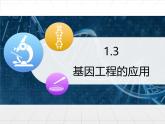 人教版 (新課標(biāo))高中生物選修3 1-1.3《基因工程的應(yīng)用》課件