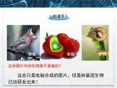 人教版 (新課標(biāo))高中生物選修3 1-1.3《基因工程的應(yīng)用》課件