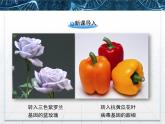 人教版 (新課標(biāo))高中生物選修3 1-1.3《基因工程的應(yīng)用》課件