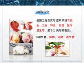 人教版 (新課標(biāo))高中生物選修3 1-1.3《基因工程的應(yīng)用》課件
