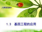 人教版 (新課標(biāo))高中生物選修3 1-1.3《基因工程的應(yīng)用》（第1課時）課件
