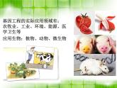 人教版 (新課標(biāo))高中生物選修3 1-1.3《基因工程的應(yīng)用》（第1課時）課件