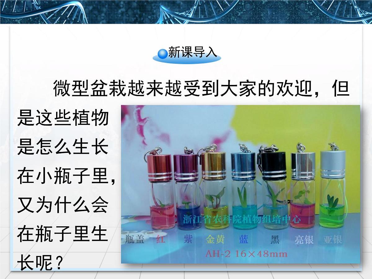 人教版 (新课标)高中生物选修3 2-1.1《植物细胞工程的基本技术》课件第2页