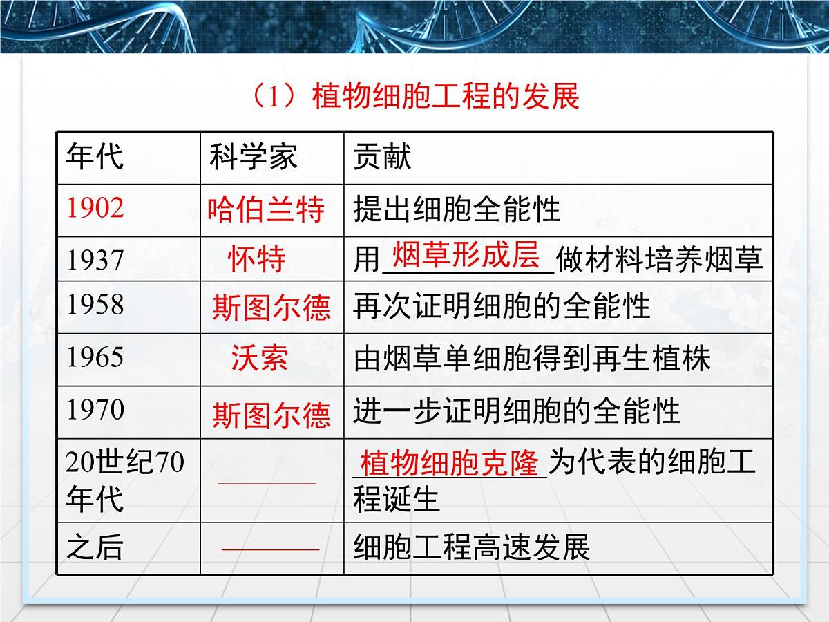 人教版 (新课标)高中生物选修3 2-1.1《植物细胞工程的基本技术》课件第4页