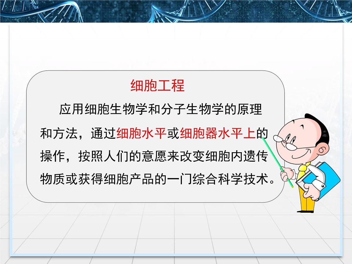 人教版 (新课标)高中生物选修3 2-1.1《植物细胞工程的基本技术》课件第6页