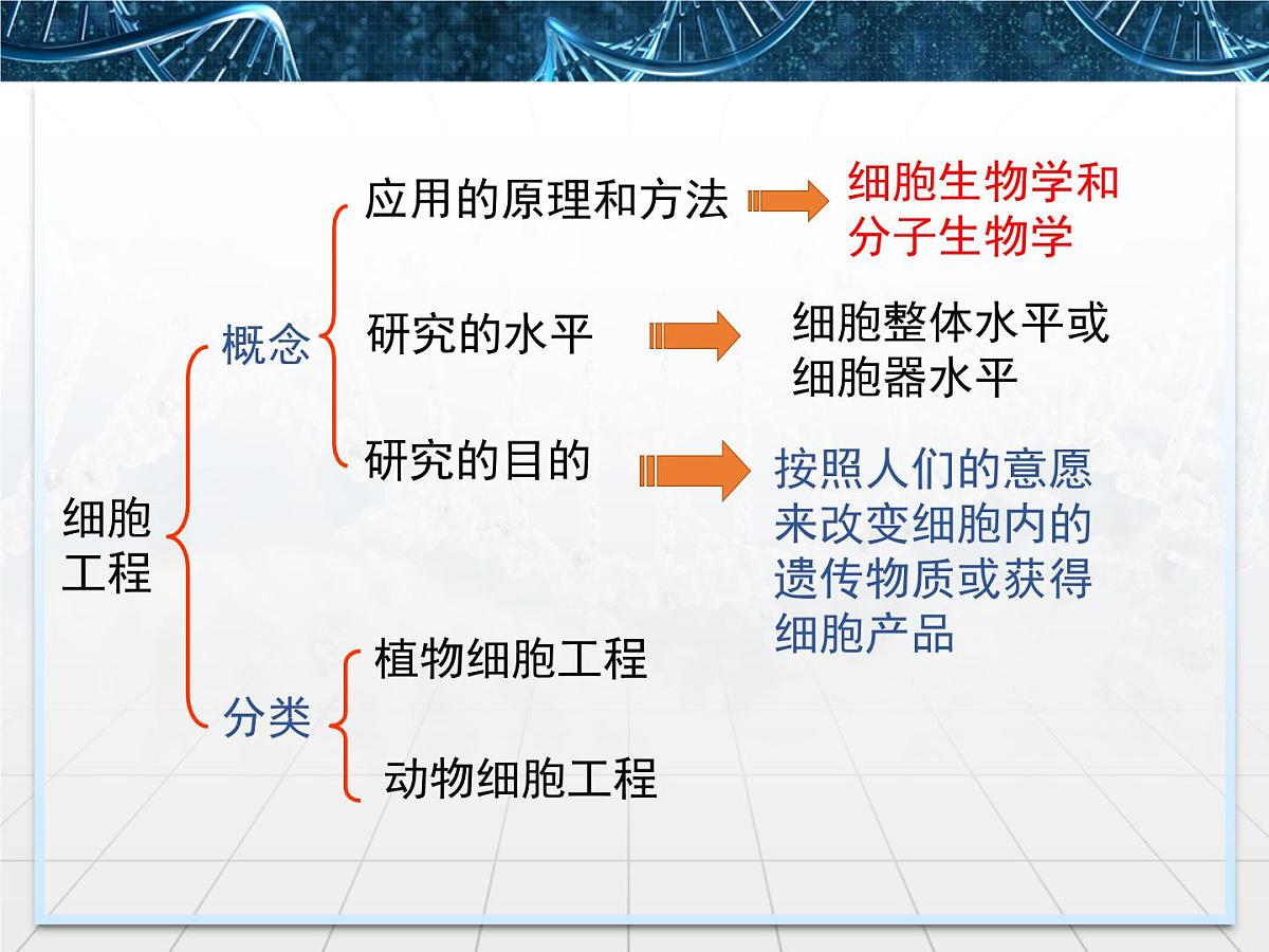人教版 (新课标)高中生物选修3 2-1.1《植物细胞工程的基本技术》课件第7页