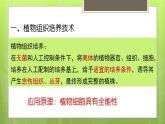 人教版 (新課標(biāo))高中生物選修3 2-1.1《植物細(xì)胞工程的基本技術(shù)》課件