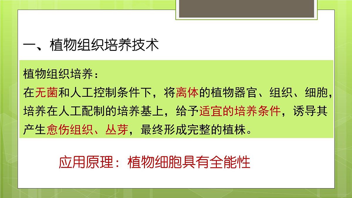 人教版 (新课标)高中生物选修3 2-1.1《植物细胞工程的基本技术》课件第3页
