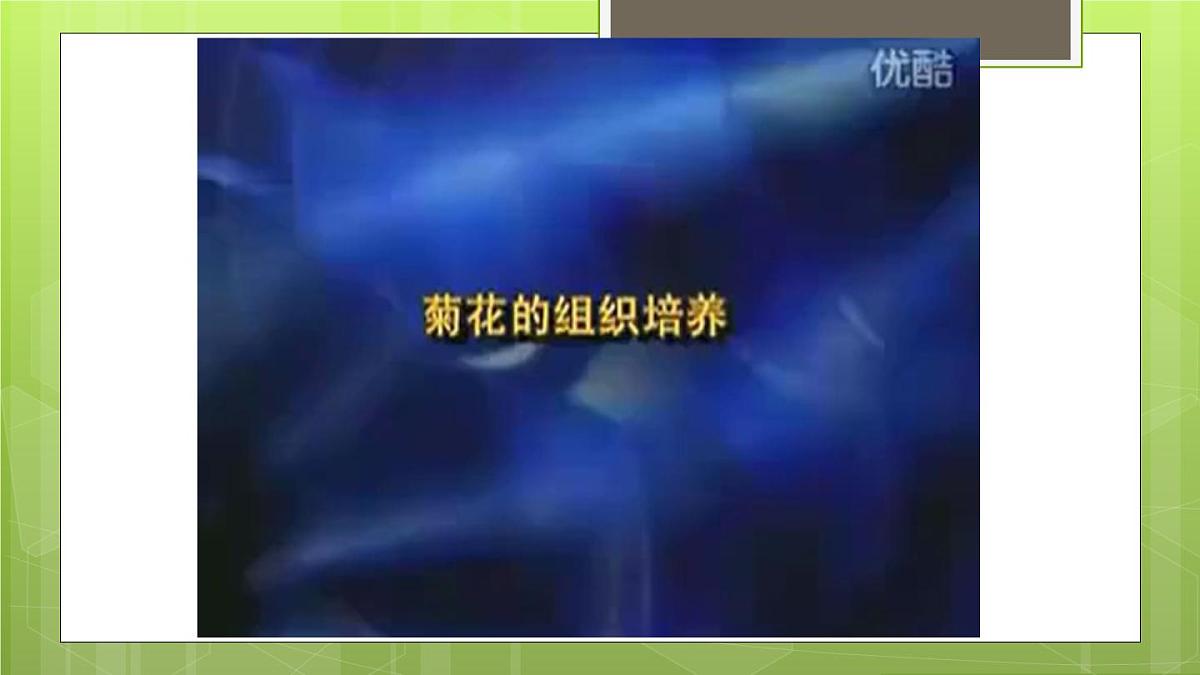 人教版 (新课标)高中生物选修3 2-1.1《植物细胞工程的基本技术》课件第6页