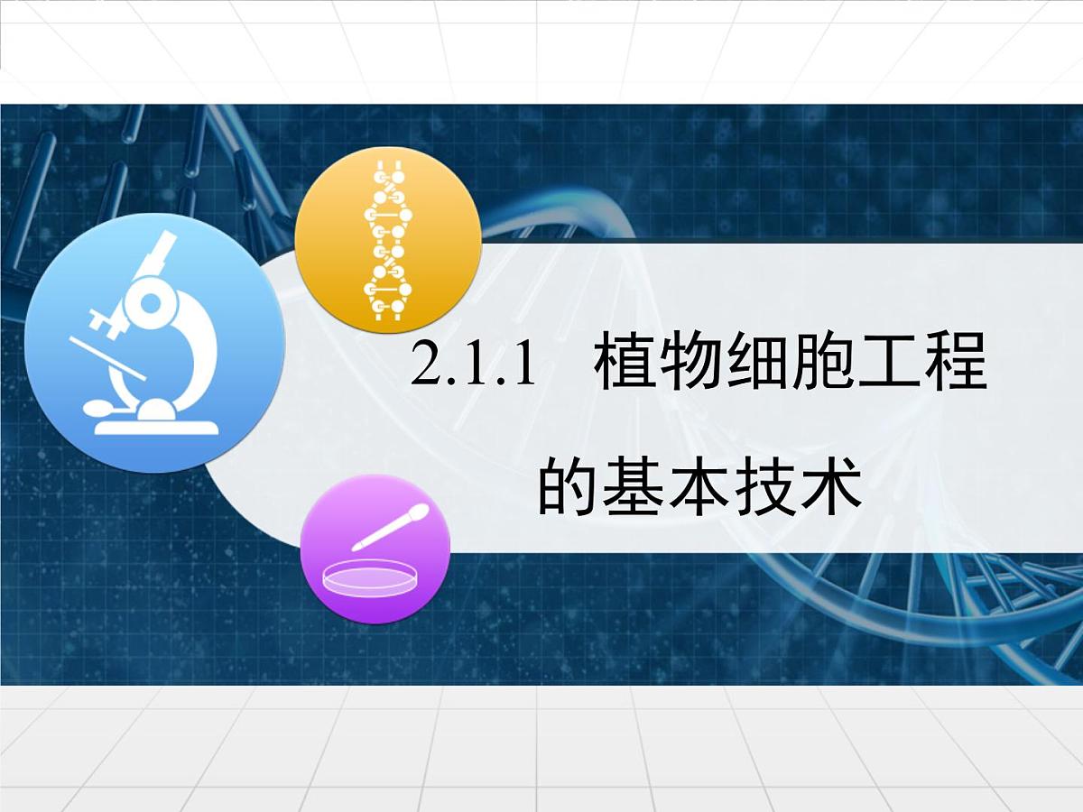 人教版 (新课标)高中生物选修3 2-1.1《植物细胞工程的基本技术》课件第1页