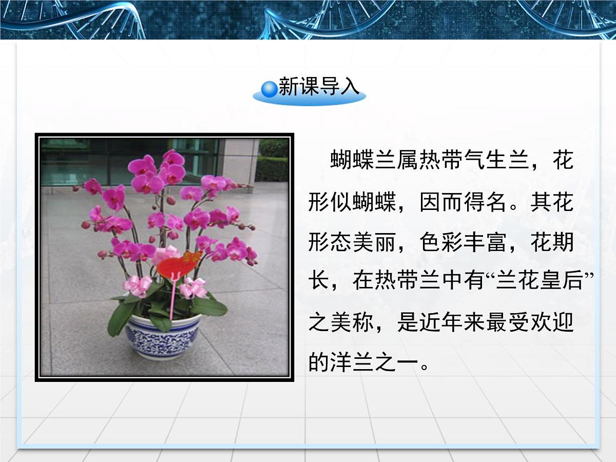 人教版 (新课标)高中生物选修3 2-1.1《植物细胞工程的基本技术》课件第2页