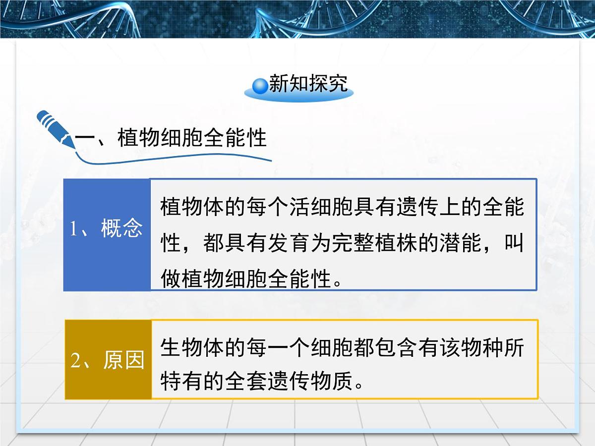 人教版 (新课标)高中生物选修3 2-1.1《植物细胞工程的基本技术》课件第5页
