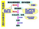 人教版 (新課標)高中生物選修3 2-1.2《植物細胞工程的實際應(yīng)用》課件