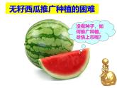 人教版 (新課標)高中生物選修3 2-1.2《植物細胞工程的實際應(yīng)用》課件