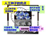 人教版 (新課標)高中生物選修3 2-1.2《植物細胞工程的實際應(yīng)用》課件