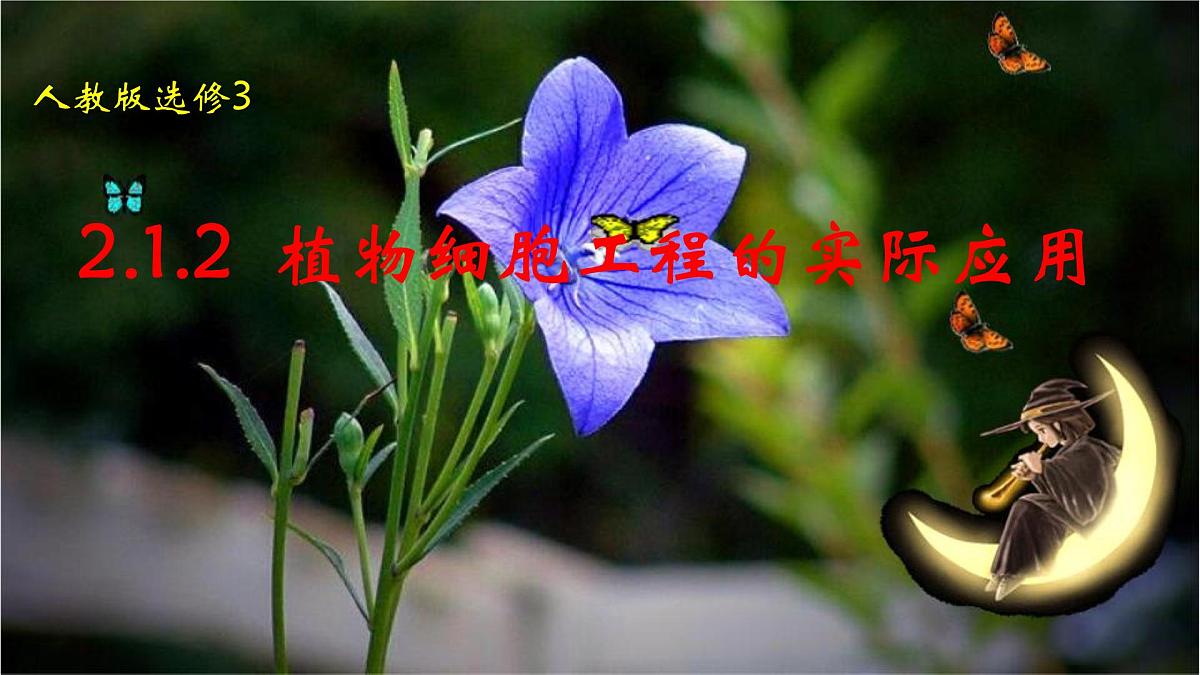 人教版 (新课标)高中生物选修3 2-1.2《植物细胞工程的实际应用》课件第1页