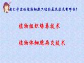 人教版 (新課標(biāo))高中生物選修3 2-1.2《植物細(xì)胞工程的實(shí)際應(yīng)用》課件