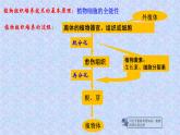人教版 (新課標(biāo))高中生物選修3 2-1.2《植物細(xì)胞工程的實(shí)際應(yīng)用》課件