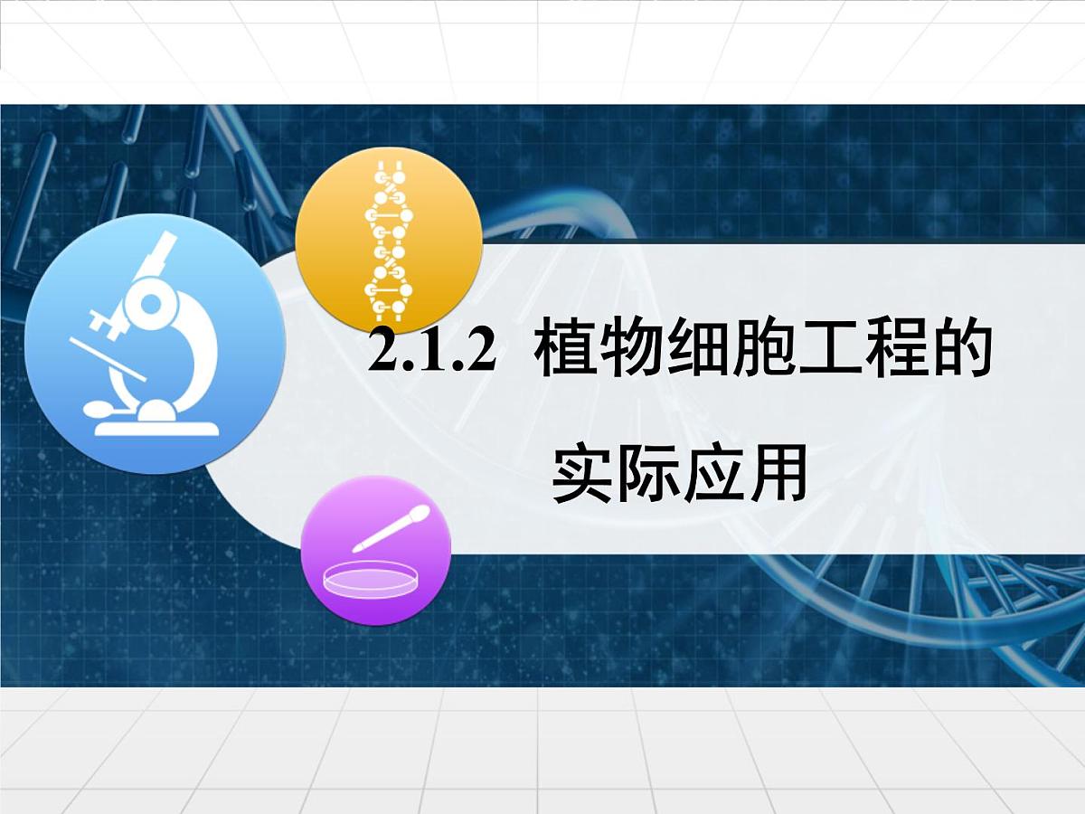 人教版 (新课标)高中生物选修3 2-1.2《植物细胞工程的实际应用》课件第1页
