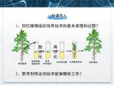 人教版 (新課標)高中生物選修3 2-1.2《植物細胞工程的實際應(yīng)用》課件