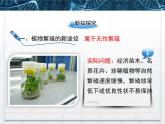 人教版 (新課標)高中生物選修3 2-1.2《植物細胞工程的實際應(yīng)用》課件