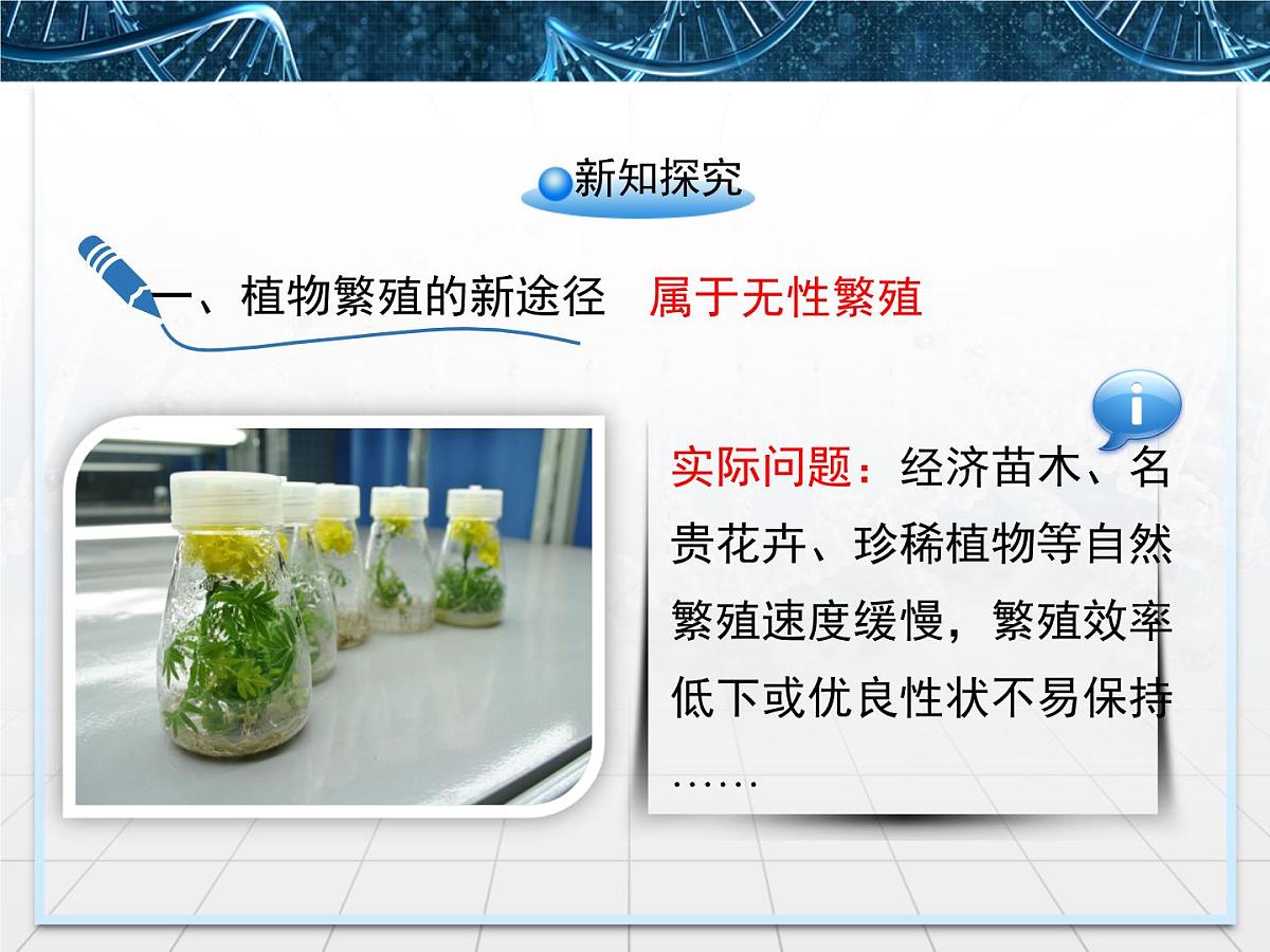 人教版 (新课标)高中生物选修3 2-1.2《植物细胞工程的实际应用》课件第4页