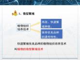 人教版 (新課標)高中生物選修3 2-1.2《植物細胞工程的實際應(yīng)用》課件