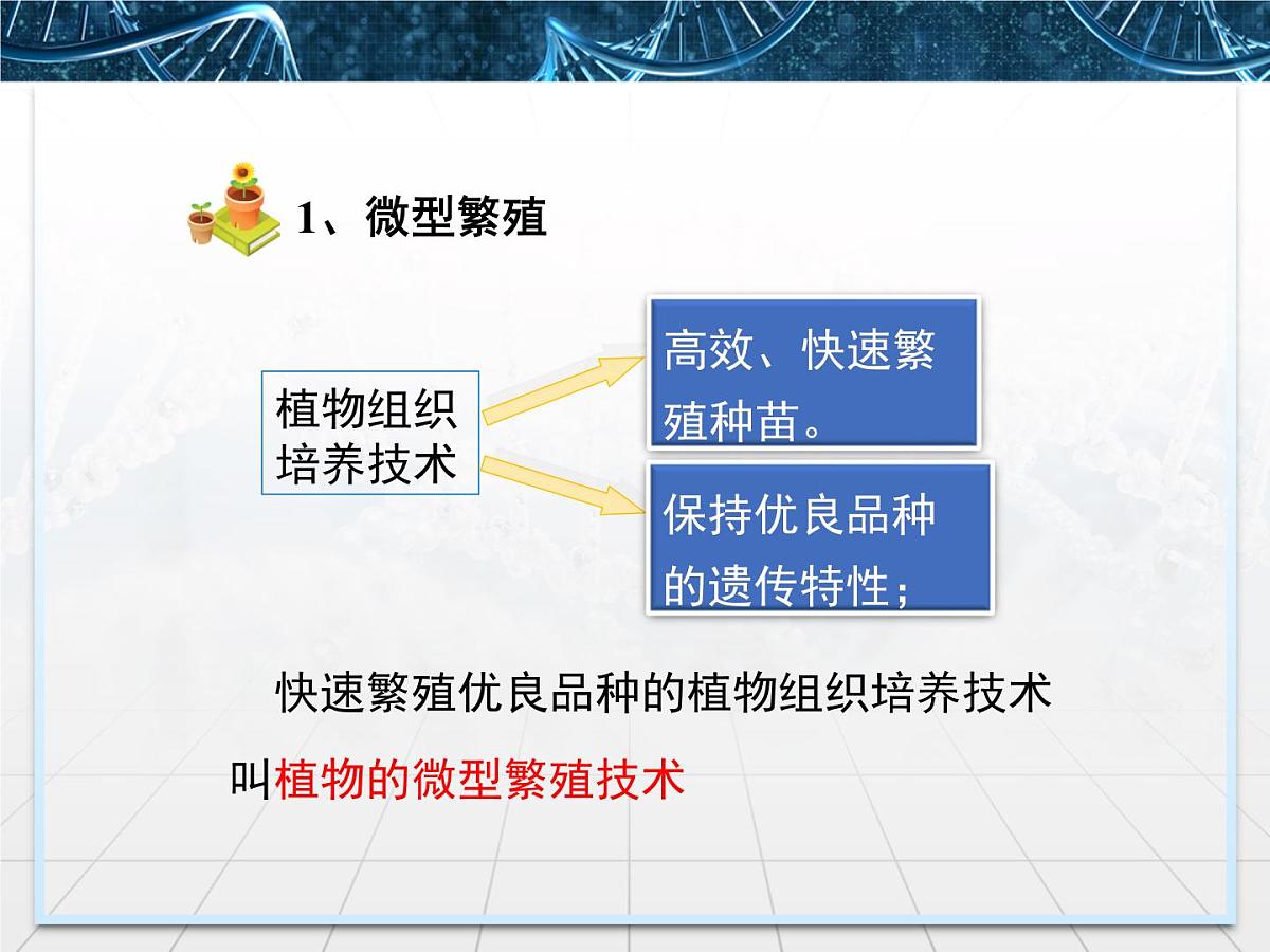 人教版 (新课标)高中生物选修3 2-1.2《植物细胞工程的实际应用》课件第5页