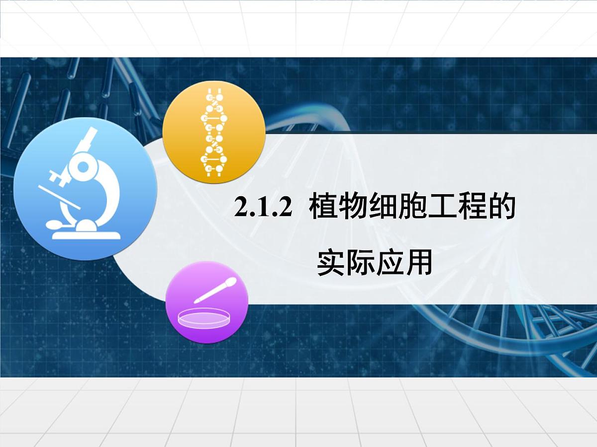 人教版 (新课标)高中生物选修3 2.1.2《植物细胞工程的实际应用》课件第1页