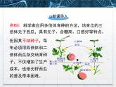 人教版 (新課標)高中生物選修3 2.1.2《植物細胞工程的實際應(yīng)用》課件