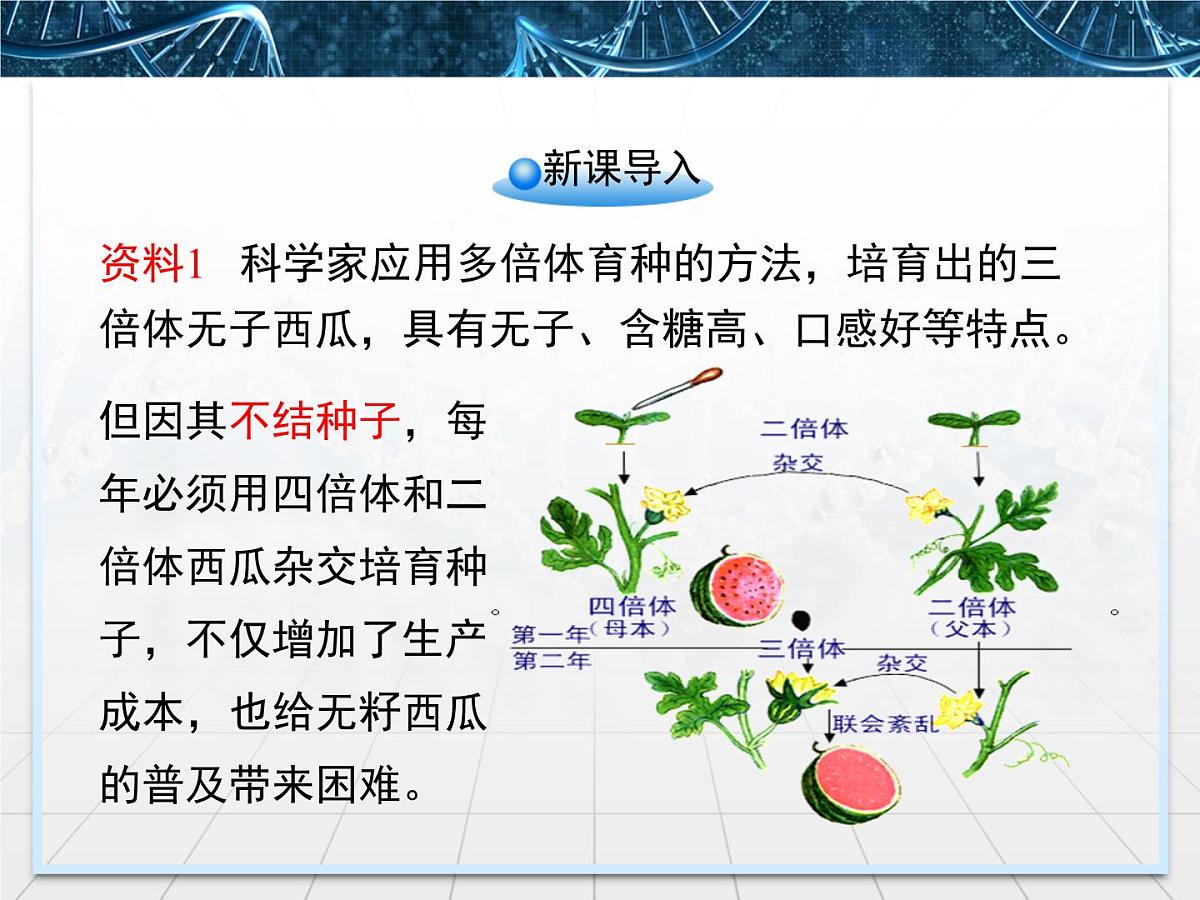 人教版 (新课标)高中生物选修3 2.1.2《植物细胞工程的实际应用》课件第2页