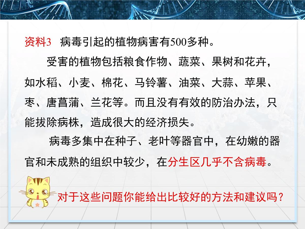 人教版 (新课标)高中生物选修3 2.1.2《植物细胞工程的实际应用》课件第4页