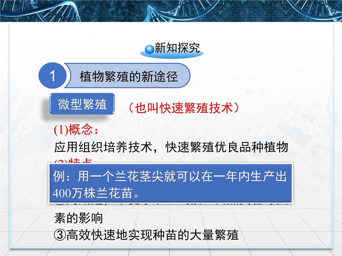 人教版 (新课标)高中生物选修3 2.1.2《植物细胞工程的实际应用》课件第6页