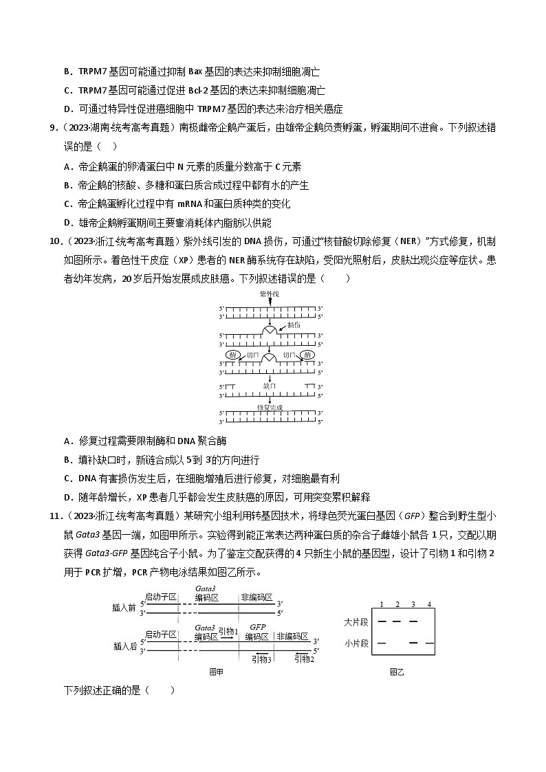 专题06 遗传的分子基础（学生卷）第3页
