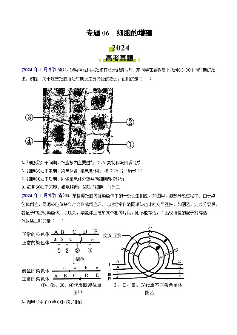 专题06 细胞的增殖-2024年高考真题和模拟题生物分类汇编(学生卷）第1页