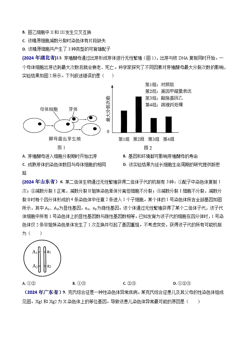 专题06 细胞的增殖-2024年高考真题和模拟题生物分类汇编(学生卷）第2页