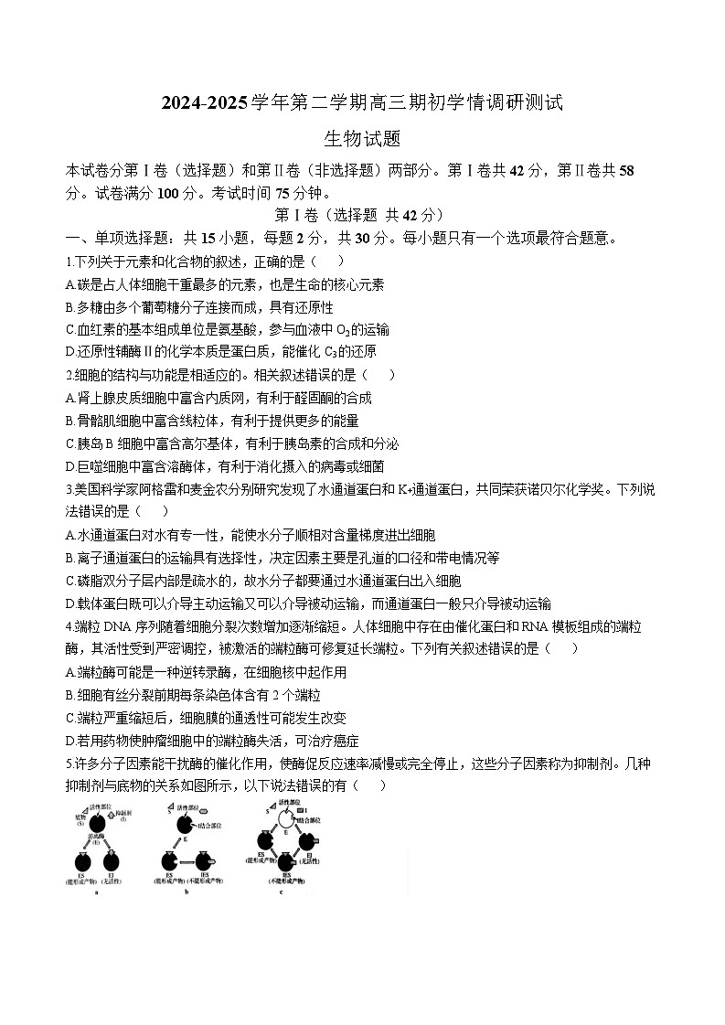 江苏省扬州市高邮市2024-2025学年高三下学期开学考试生物试题（含答案）第1页