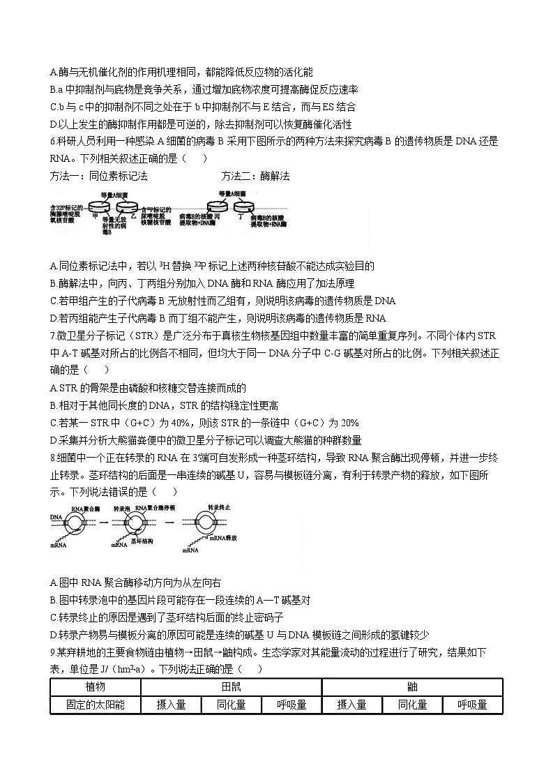 江苏省扬州市高邮市2024-2025学年高三下学期开学考试生物试题（含答案）第2页