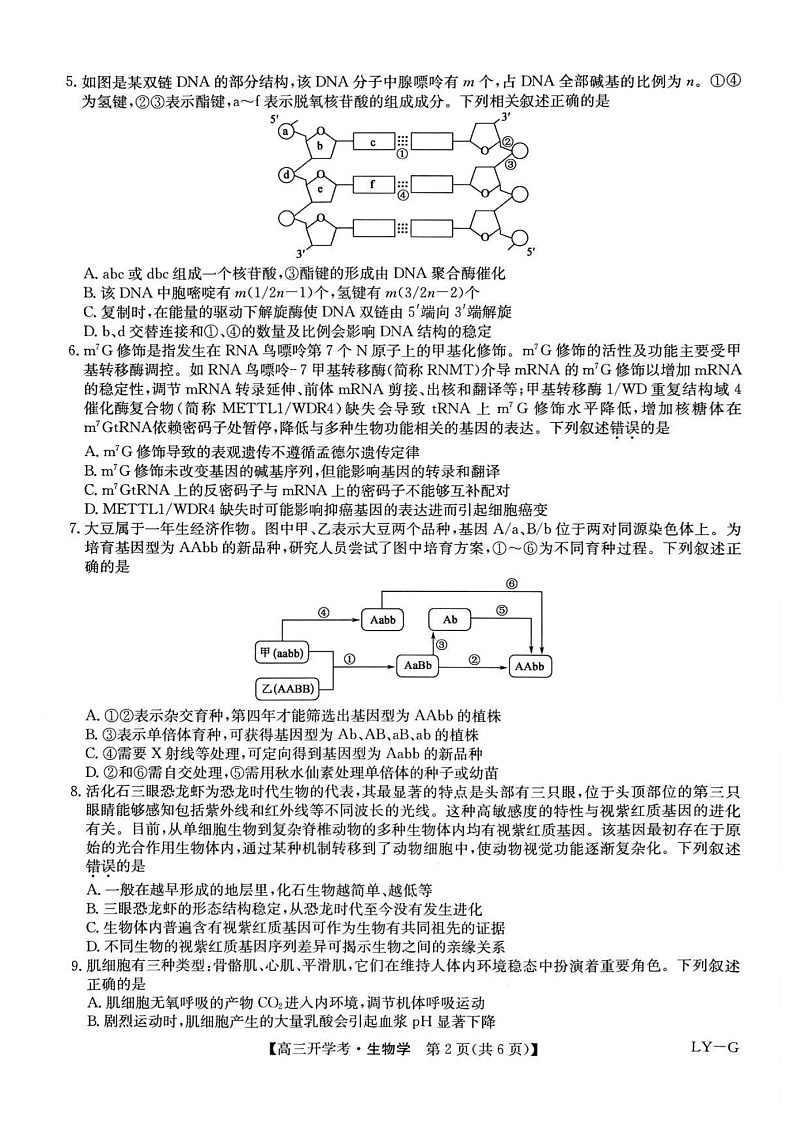 九师联盟2025年高三2月联考-生物试题（含答案）第2页