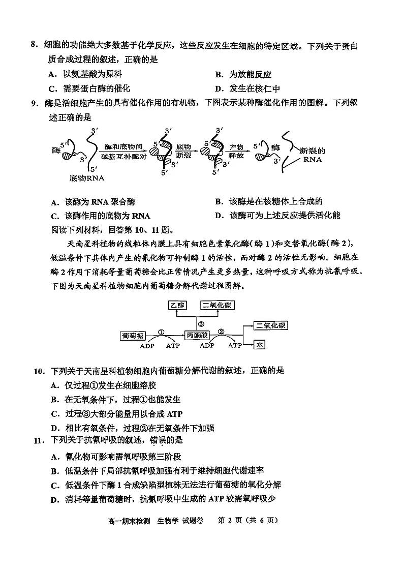 浙江省嘉兴市2024-2025学年高一下学期期末检测生物试卷第2页
