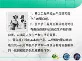 人教版 (新課標(biāo))高中生物選修3 1-1.4《蛋白質(zhì)工程的崛起》復(fù)習(xí)課件