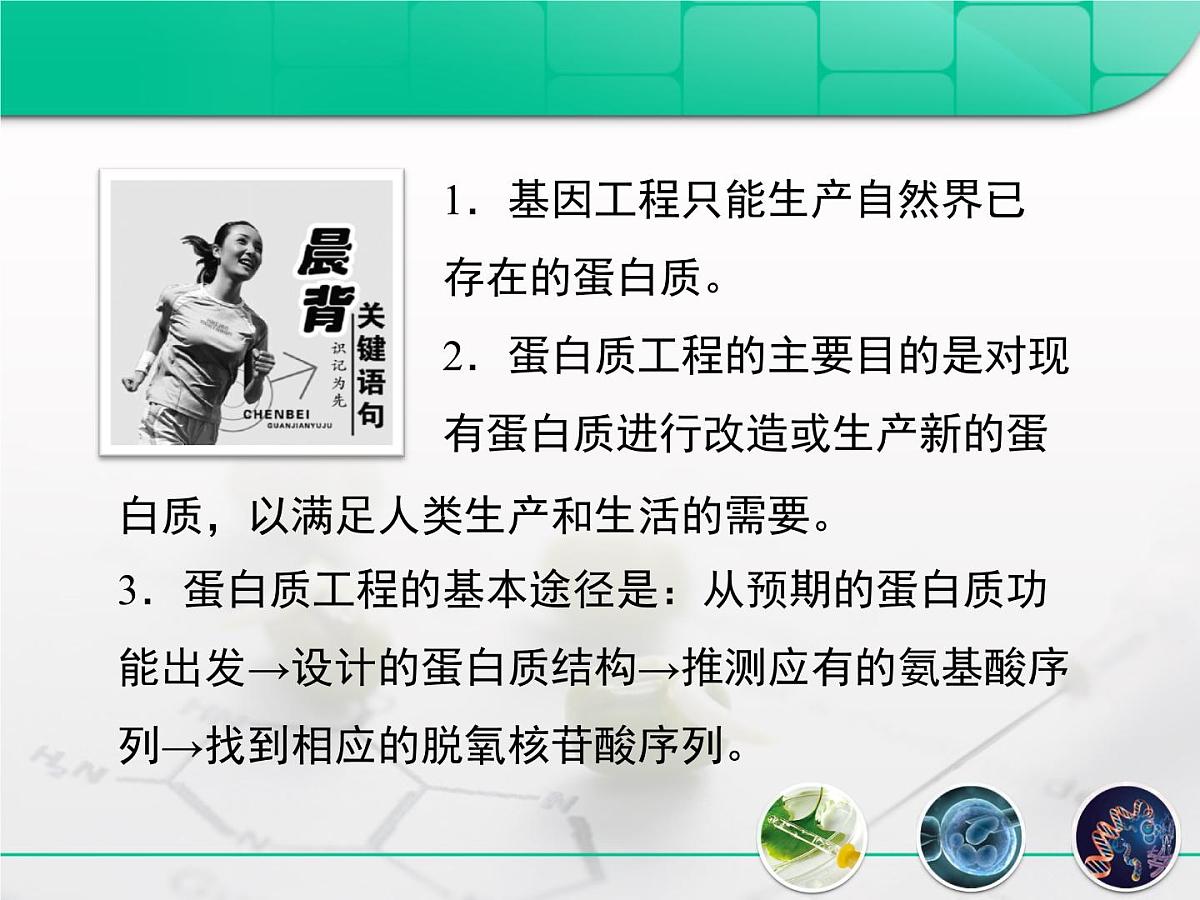 人教版 (新课标)高中生物选修3 1-1.4《蛋白质工程的崛起》复习课件第2页