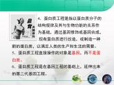 人教版 (新課標(biāo))高中生物選修3 1-1.4《蛋白質(zhì)工程的崛起》復(fù)習(xí)課件