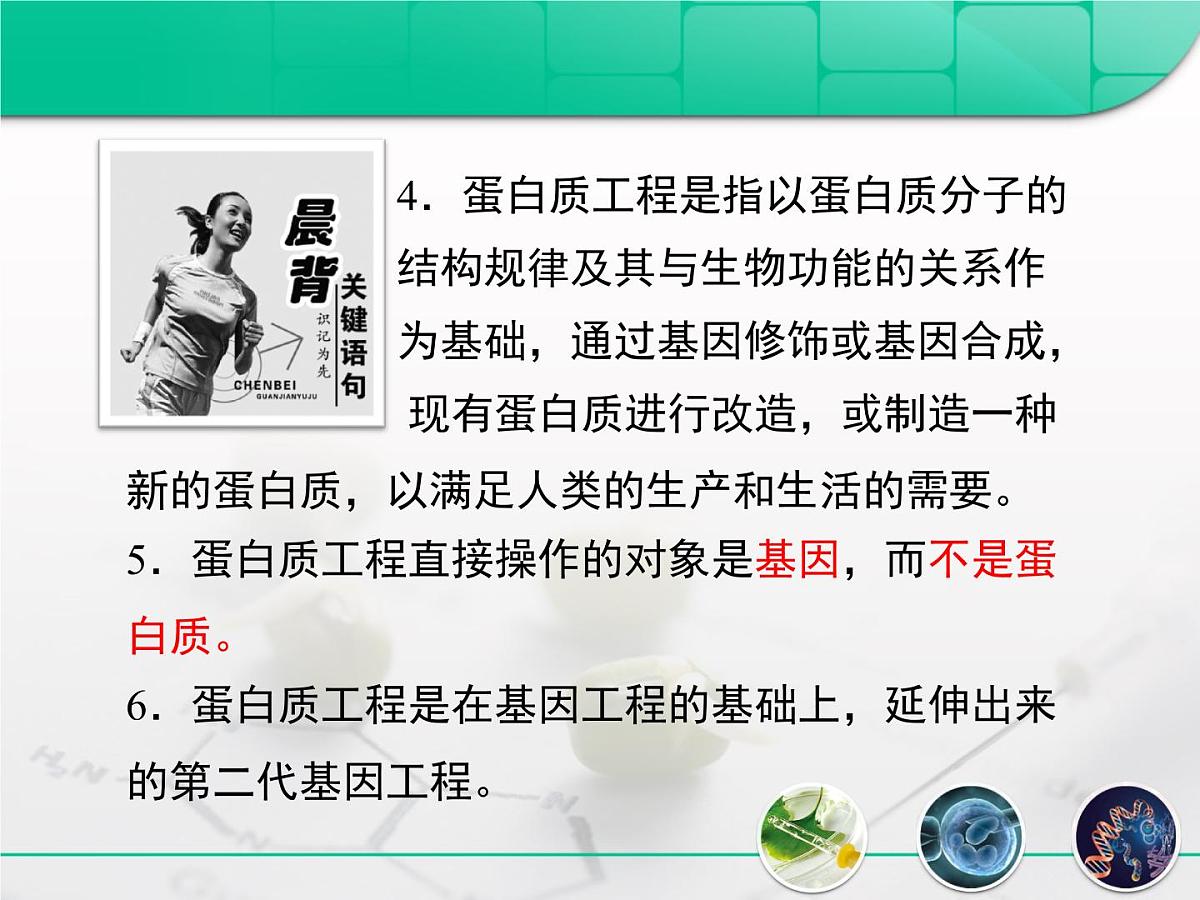 人教版 (新课标)高中生物选修3 1-1.4《蛋白质工程的崛起》复习课件第3页