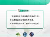 人教版 (新課標(biāo))高中生物選修3 1-1.4《蛋白質(zhì)工程的崛起》復(fù)習(xí)課件