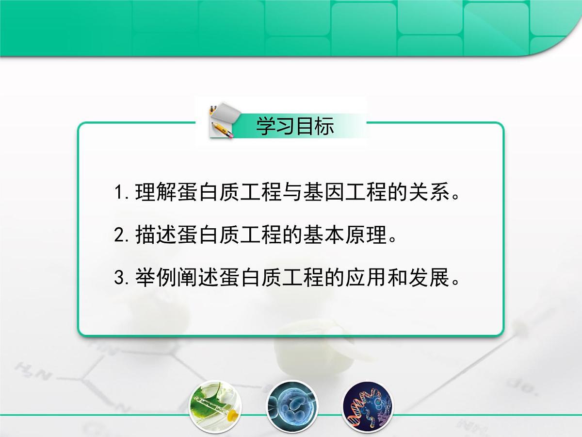 人教版 (新课标)高中生物选修3 1-1.4《蛋白质工程的崛起》复习课件第4页