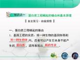 人教版 (新課標(biāo))高中生物選修3 1-1.4《蛋白質(zhì)工程的崛起》復(fù)習(xí)課件