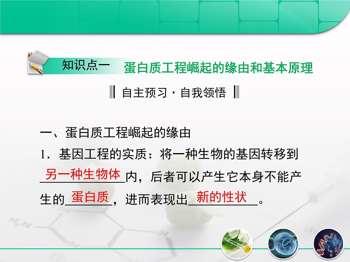 人教版 (新课标)高中生物选修3 1-1.4《蛋白质工程的崛起》复习课件第5页